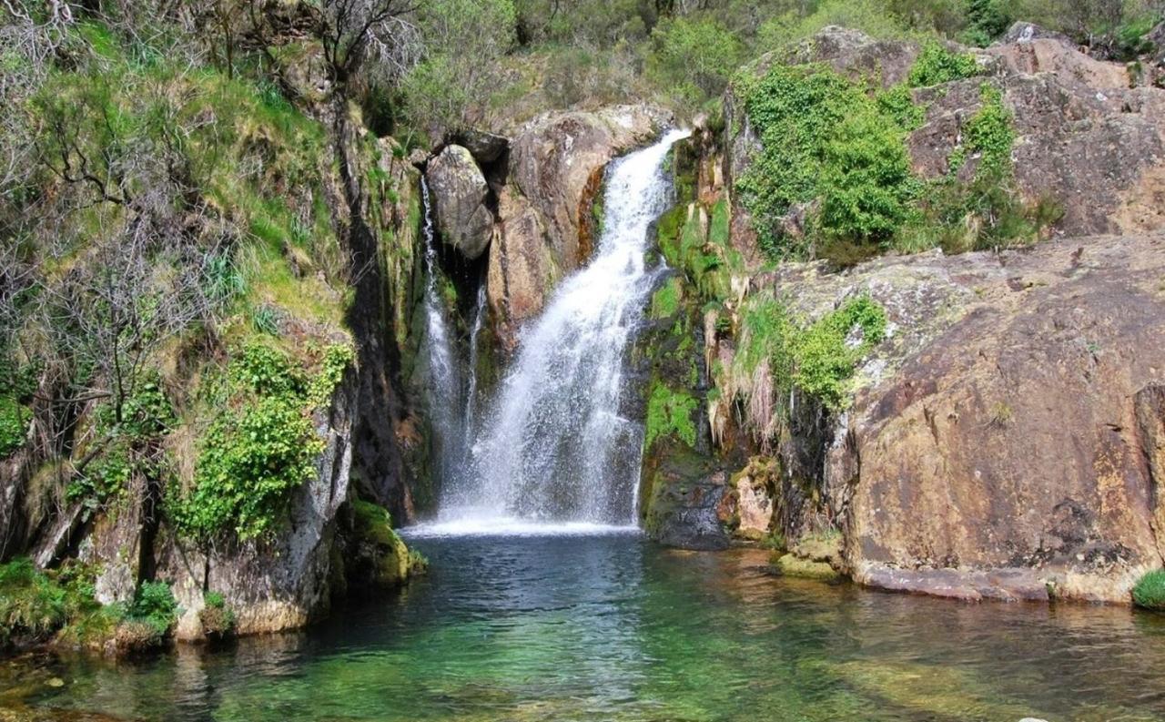 Arouca Passadicos Alojamento & Jacuzzi Εξωτερικό φωτογραφία